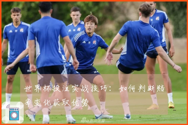 世界杯投注实战技巧:如何判断赔率变化获取优势