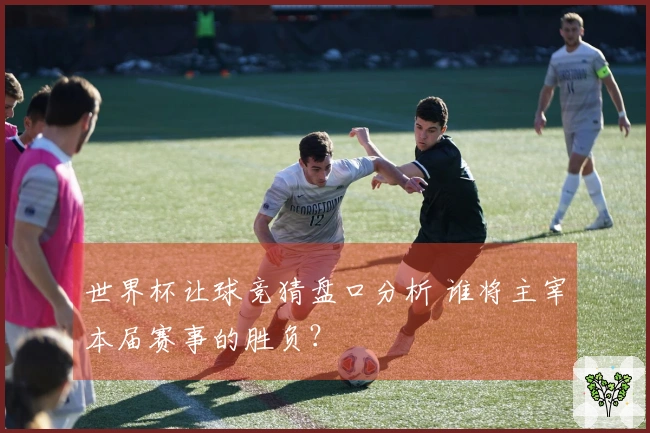 世界杯让球竞猜盘口分析 谁将主宰本届赛事的胜负？