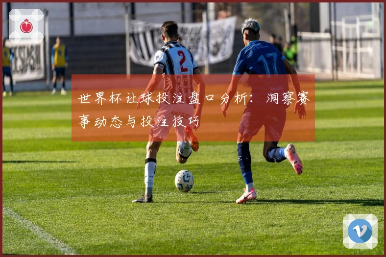 世界杯让球投注盘口分析：洞察赛事动态与投注技巧
