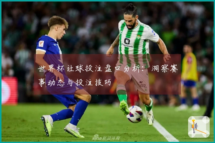 世界杯让球投注盘口分析：洞察赛事动态与投注技巧