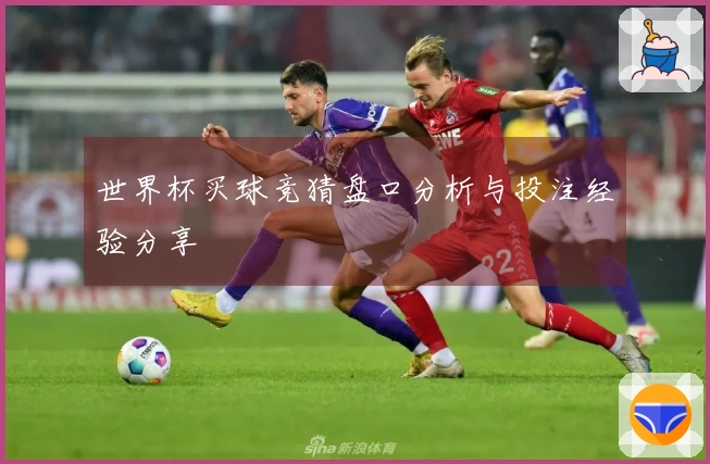 世界杯买球竞猜盘口分析与投注经验分享