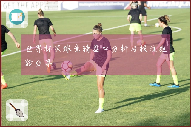 世界杯买球竞猜盘口分析与投注经验分享